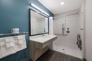 Queen Suite w/ Dishwasher (Dishes/Cookware Included) Accessible Roll-in Shower | Bathroom
