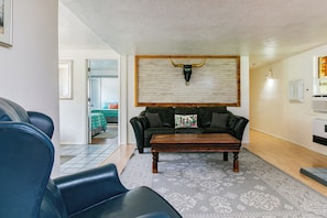 TV connectée, cheminée, lecteur de DVD, livres