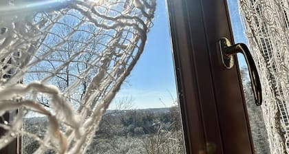 Immersed in the green countryside of Viterbo, independent apartment IL FIENILE