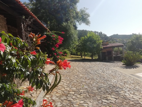 Terrein van de accommodatie