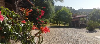 House with saltwater pool, tennis court and snooker room
