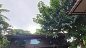 Une maison à deux étages avec un garage, entourée d’une végétation luxuriante et d’arbres.