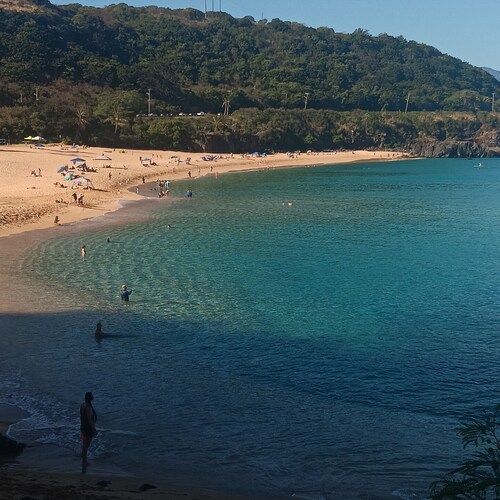 North Shore Getaway w/ Ocean Views steps to Beaches and Surf