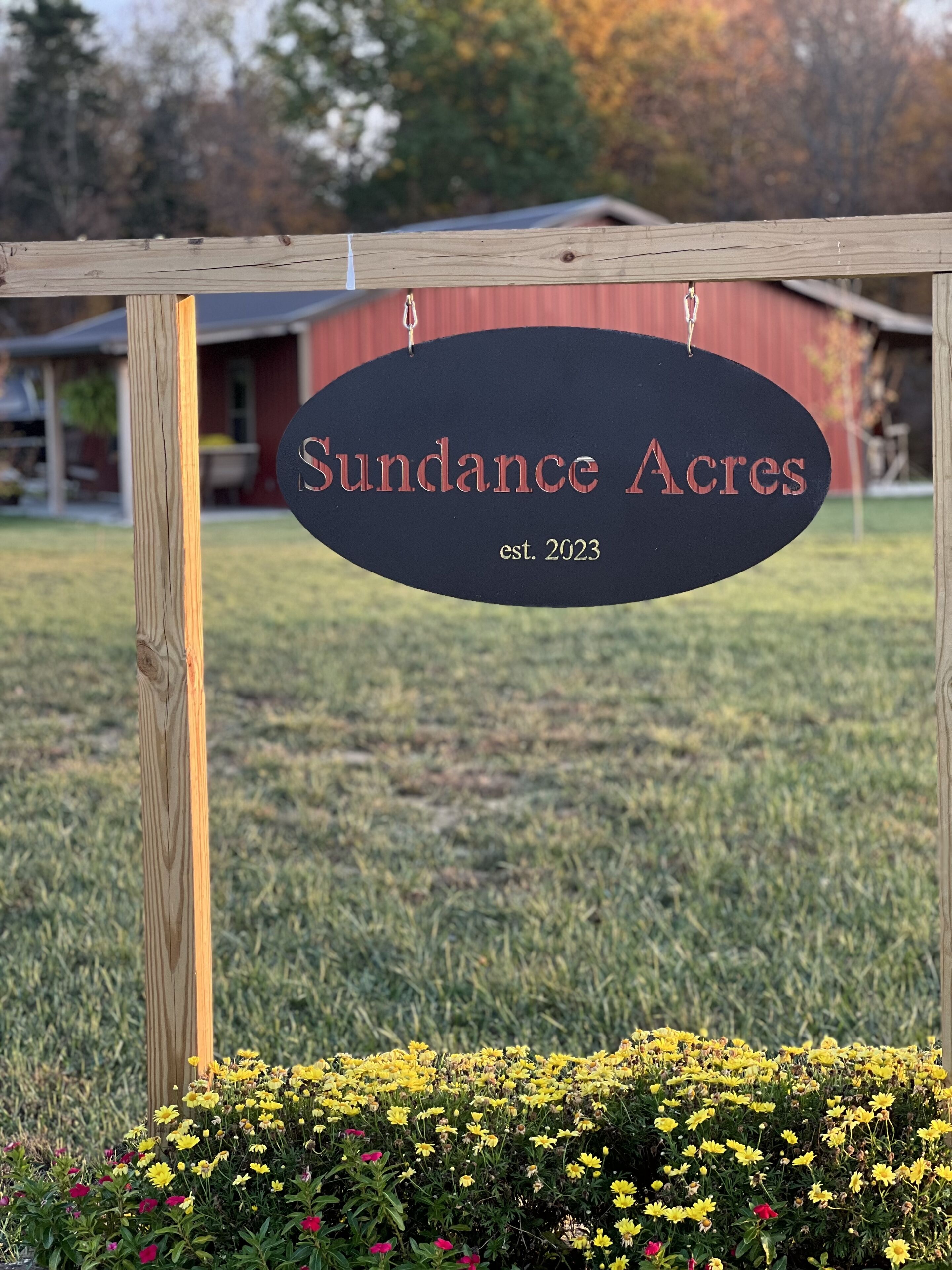 A wooden sign with "Sundance Acres" and "est. 2023" on a metal frame, set against a grassy field with yellow flowers and a red building in the background.