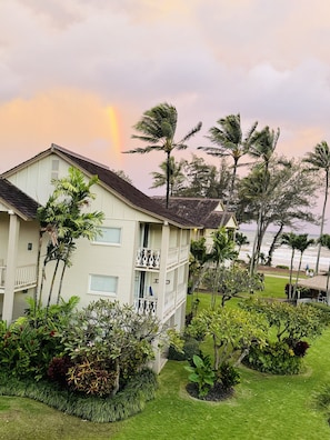 Property grounds - Islander on the Beach ONE-BEDROOM unit #308, Top floor, incredible Ocean Views (Kapaʻa)
