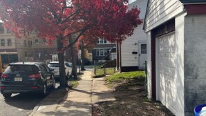 A residential street with parked cars, a sidewalk, and a tree with red leaves.