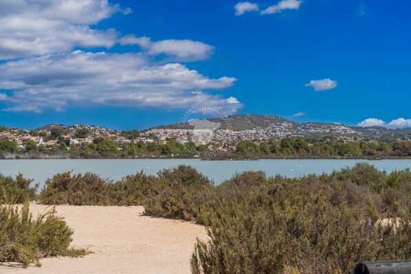Eine Küstenlandschaft mit Strand, dichter Vegetation und einer Stadt im Hintergrund.