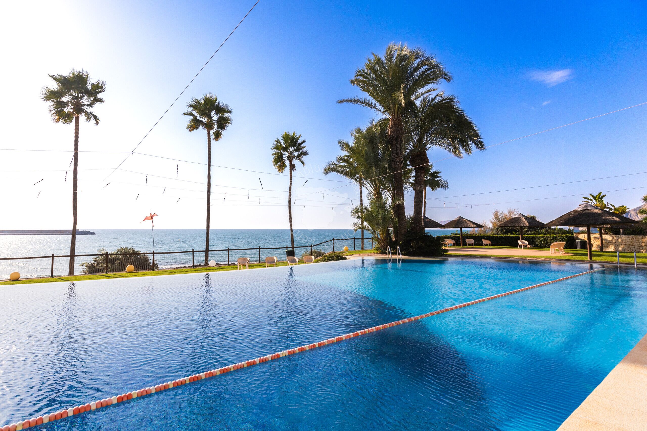 A clear blue swimming pool with a view of the sea, surrounded by palm trees and lounge chairs.