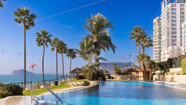 A swimming pool with lounge chairs, palm trees, and a view of the ocean.