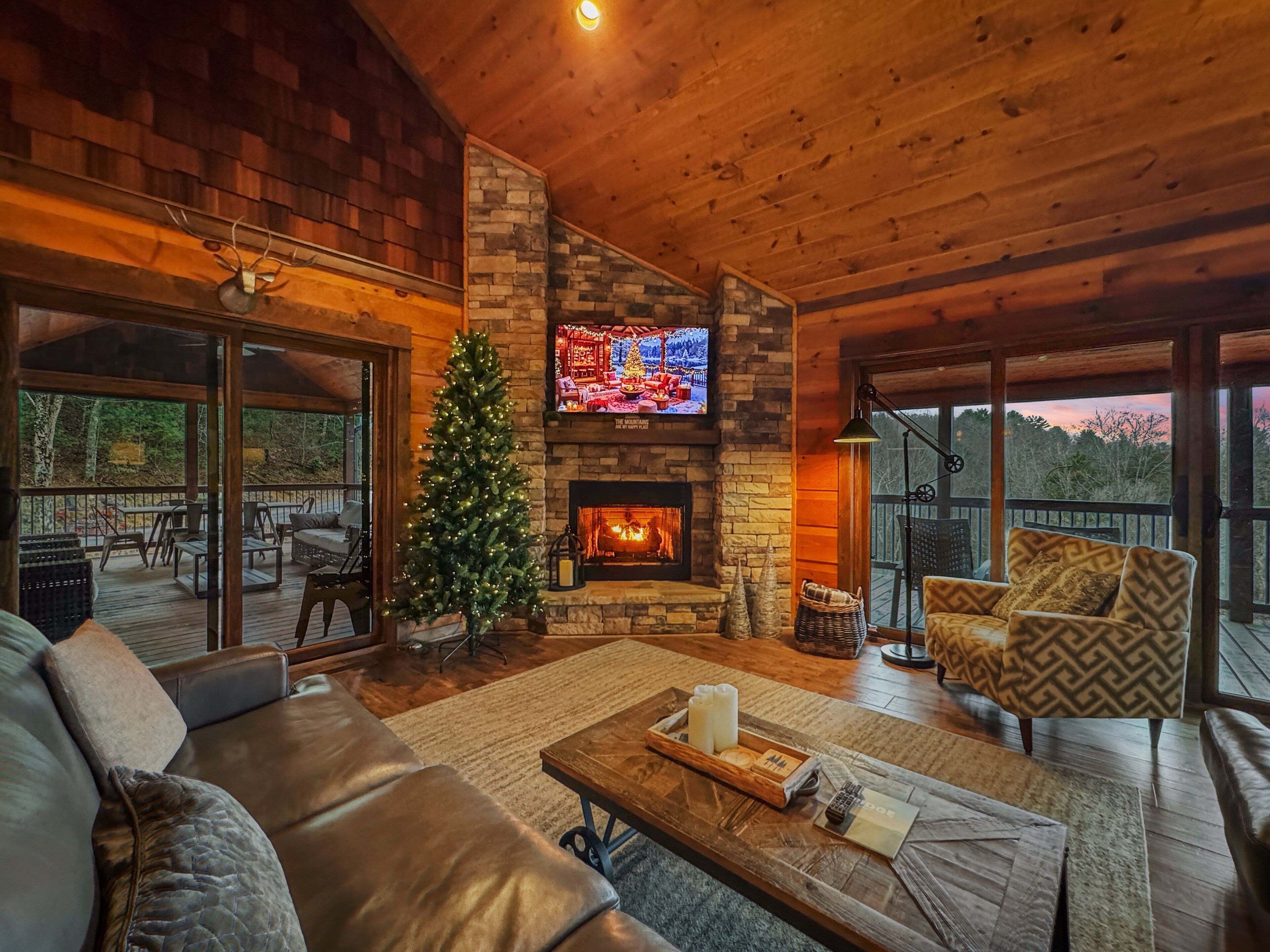 TV, fireplace, ping pong