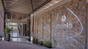 Una entrada moderna de edificio con fachada de piedra, puerta de cristal y el logo de Moloko Executive Apartments & Hotel.