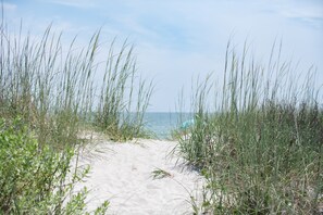 A sandy beach path with tall grass leading to the ocean.