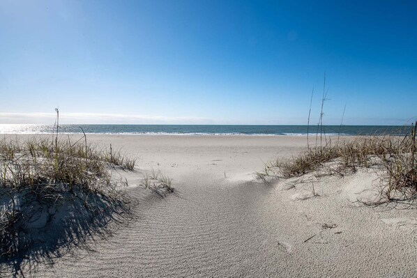A beach with sand and sparse vegetation.
