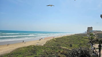 Plage à proximité, chaises longues