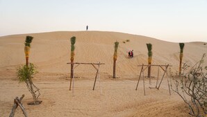 Wüstenlandschaft mit Sanddünen und Palmen.
