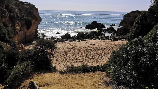 A sandy beach with rocky outcrops and sparse vegetation. - Central Albufeira 2-B Apt, Sleeps 6, Pool, Parking (Albufeira)