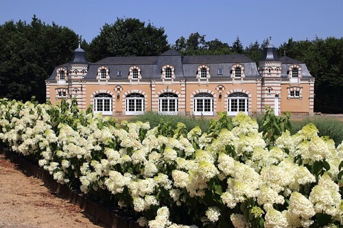 An exceptional gite in the Loire Valley, ideal for families