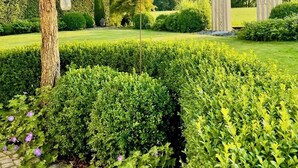 Un jardin bien entretenu, avec des haies taillées avec soin, un arbre et une pergola surmontée d’une tonnelle.