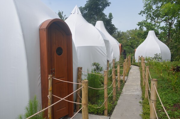 Tienda | Mobiliario individual y wifi gratis