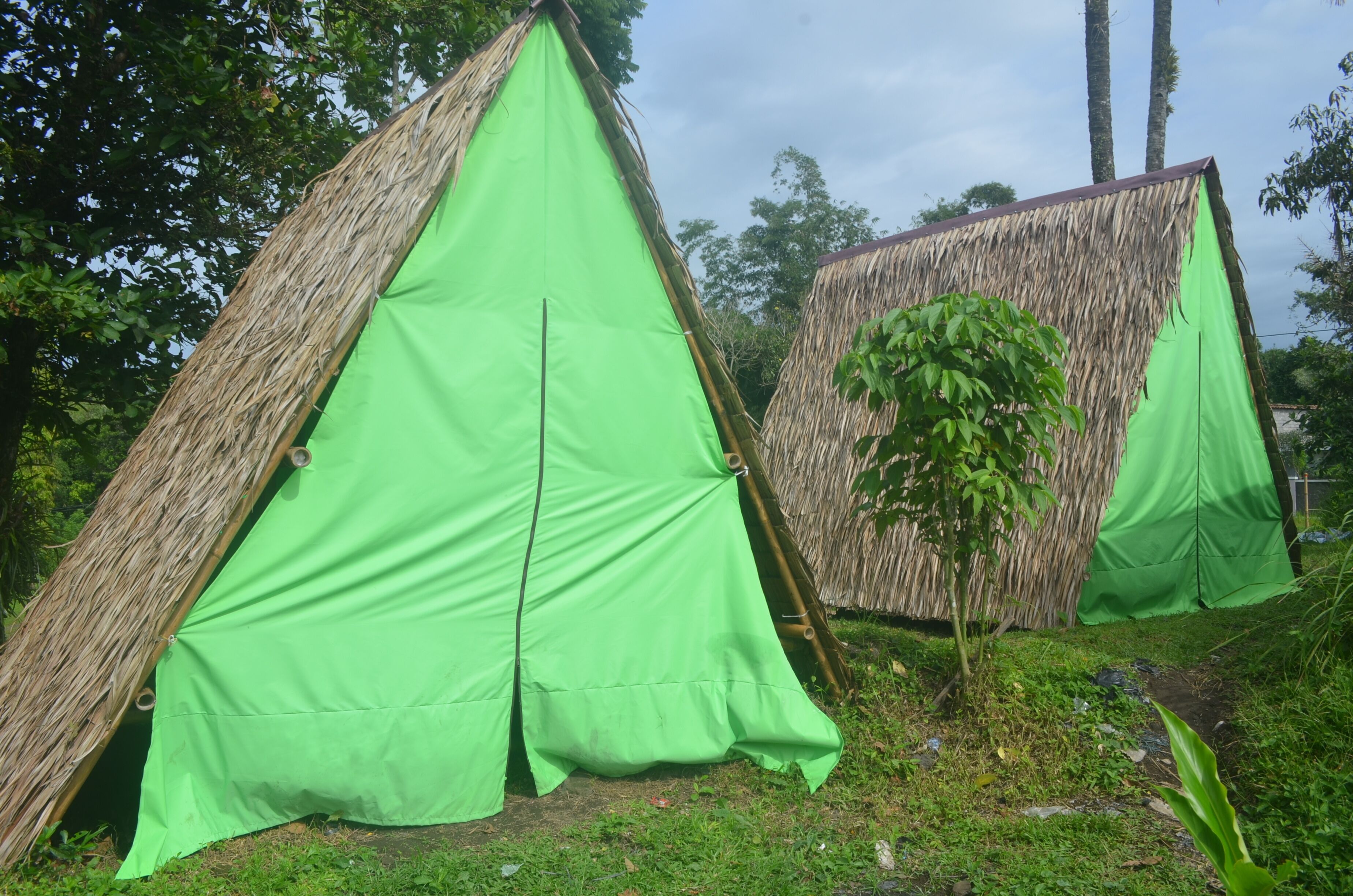 Two thatched tents with green fabric coverings, surrounded by greenery and trees.