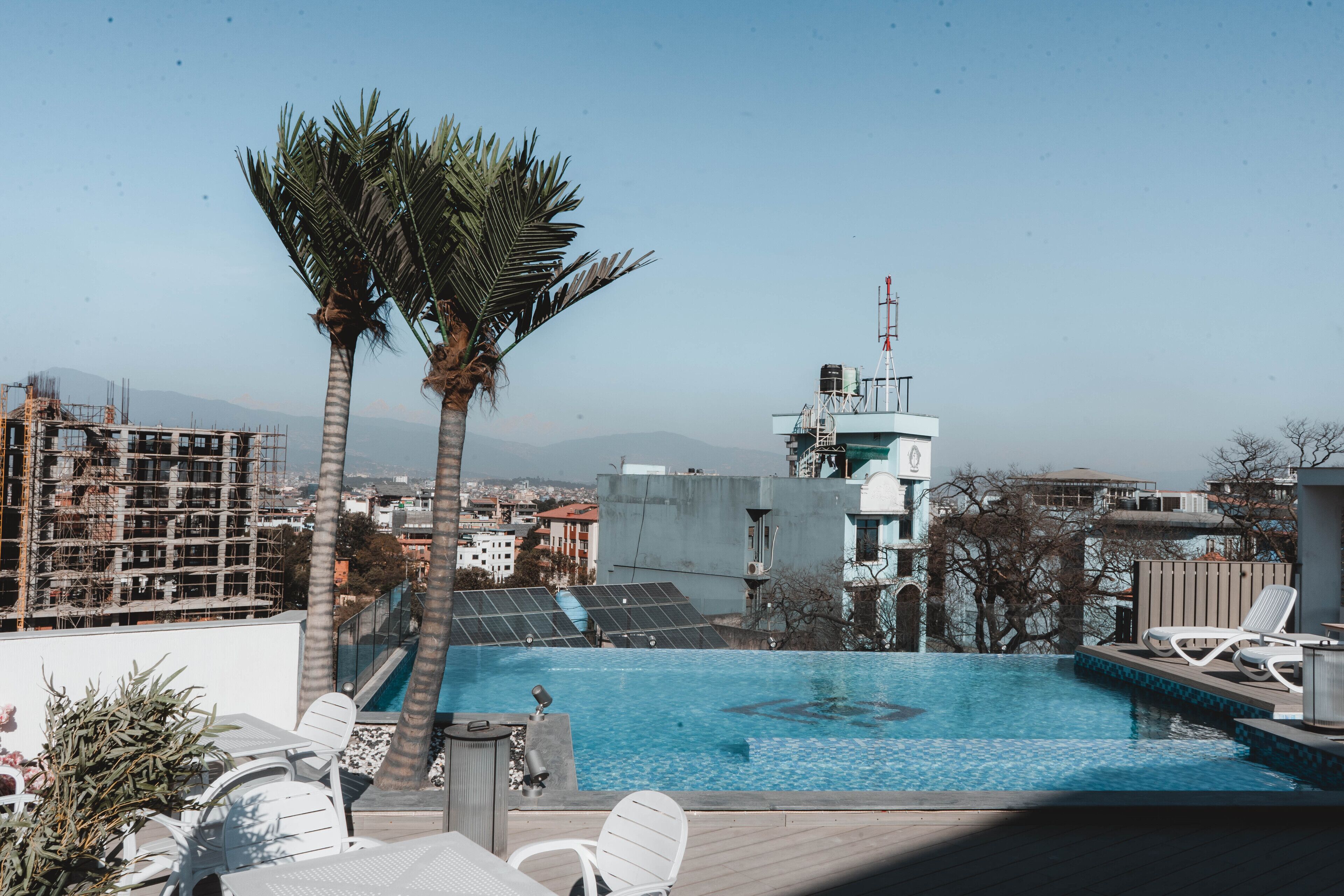A rooftop pool with palm trees, lounge chairs, and a view of the cityscape.