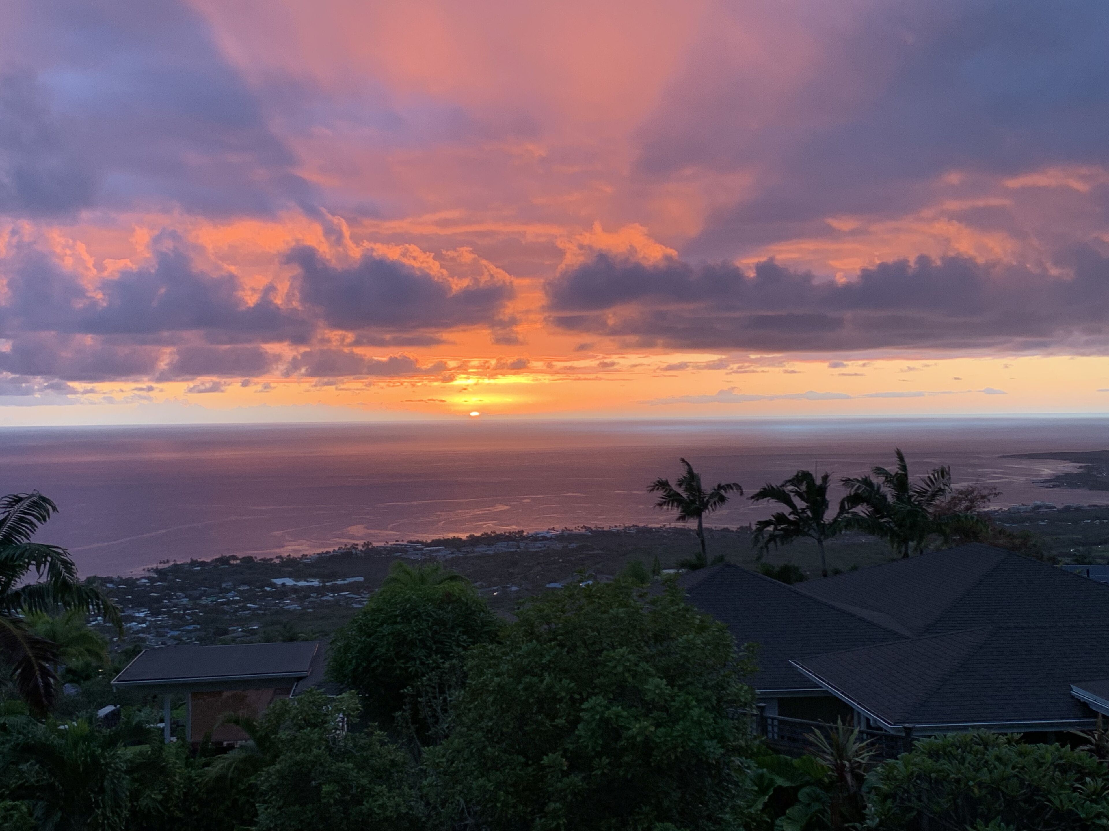 Sun loungers, beach towels