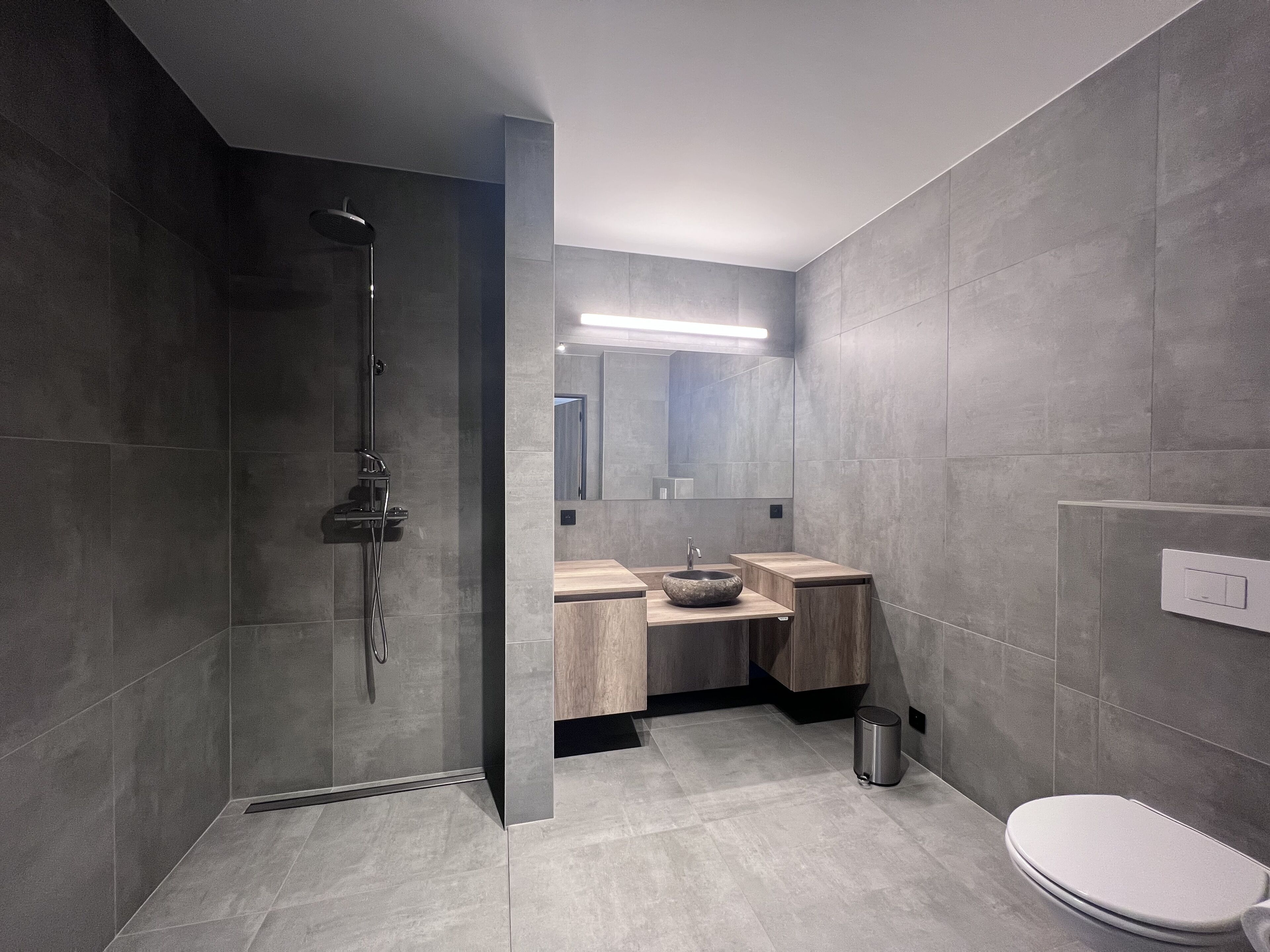 Een moderne badkamer met een inloopdouche, een wastafel met een designwastafelbak en een toilet.