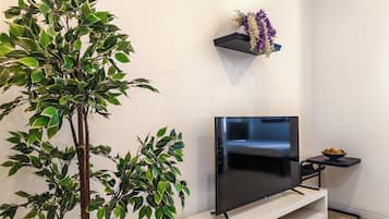 Smart TV 64 pulgadas con canales de televisión digitales, Netflix