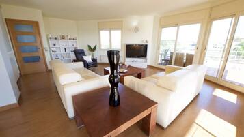 Een televisie en een open haard