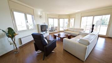 Télévision, cheminée