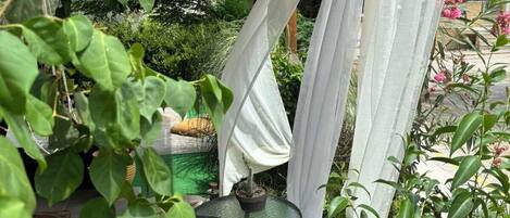 Vista desde la propiedad