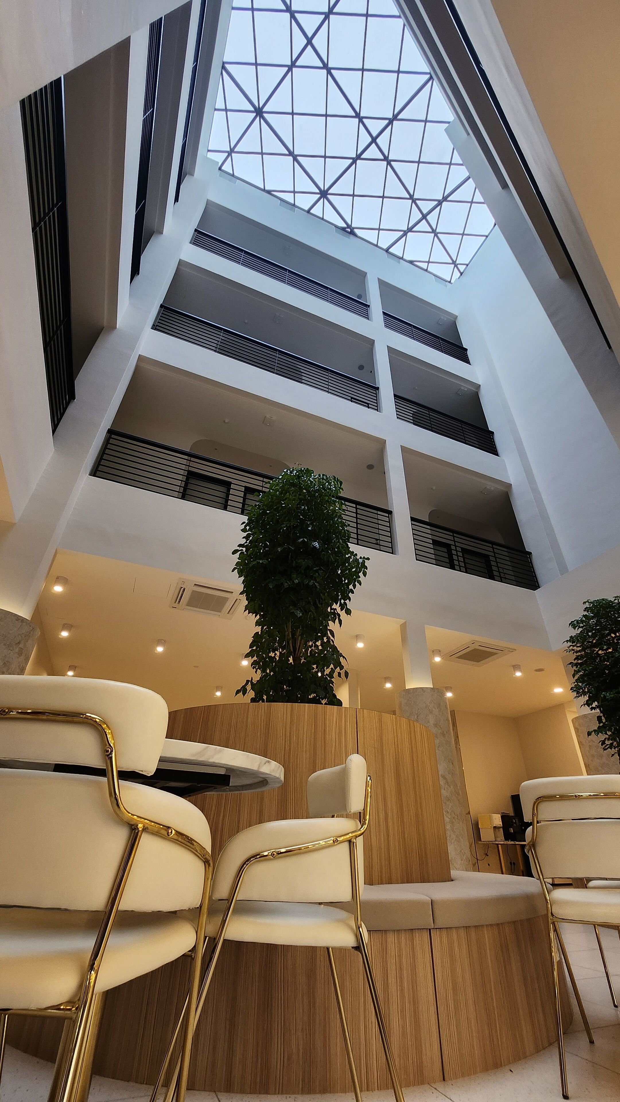 Un interior moderno con techo alto, varios niveles y una planta en el centro.