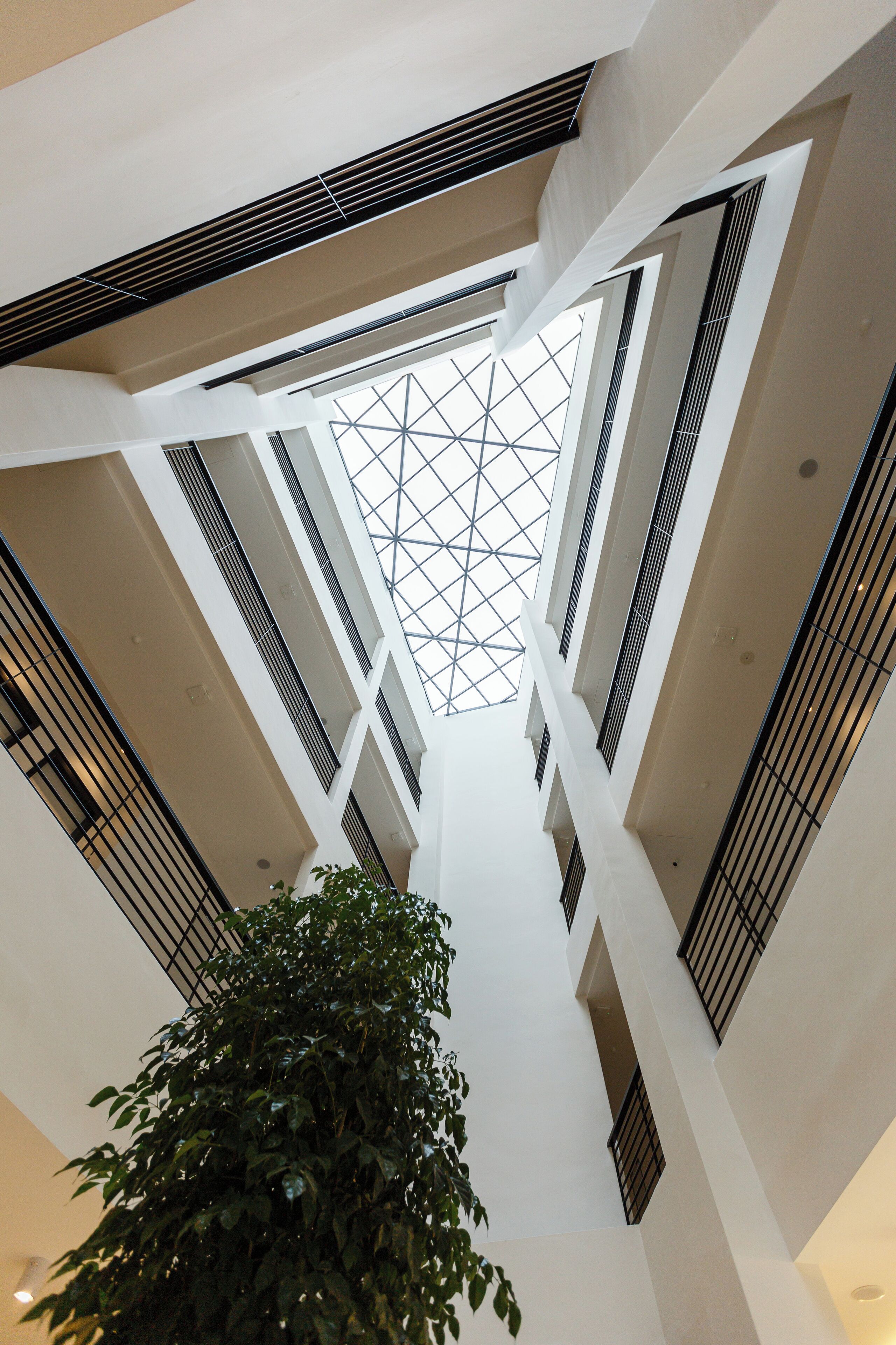 A high-ceiling atrium with a geometric skylight design, white walls, and a central plant.