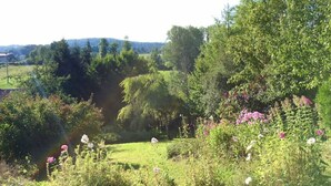 Un jardí exuberant amb diverses plantes i flors, un estany petit i una vista llunyana d'una casa.