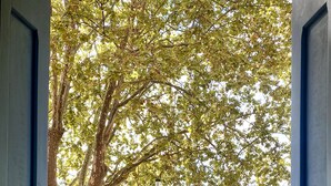 Ein weißes Auto steht auf einem Parkplatz, im Hintergrund sind ein Baum und ein Gewässer zu sehen.