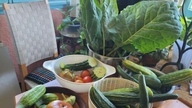 A table with various vegetables, a bowl of salad, and a chair with a woven seat. - Urban Farm House +Hot Tub+Pool (Long Beach)