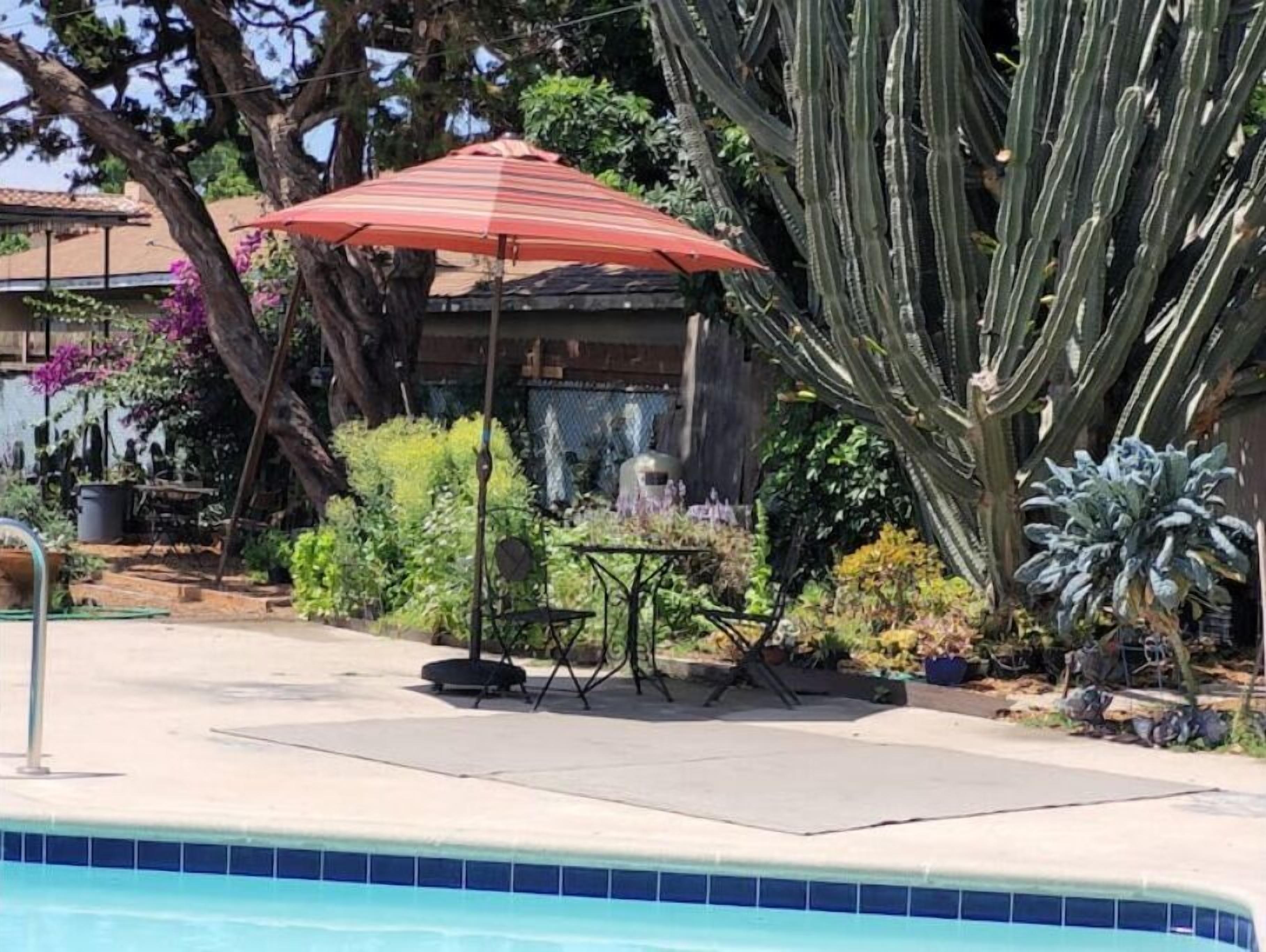 A pool area with a tiled edge, a red umbrella, and various plants including cacti.