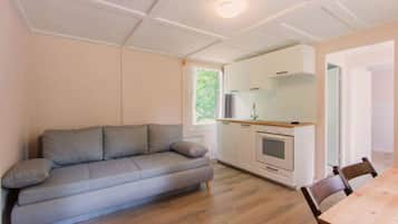 Fernseher, DVD-Player, TischfuĂball, Tischtennisplatte