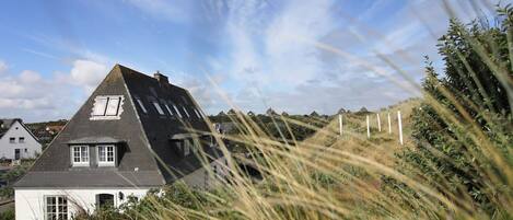 المنطقة المحيطة بالمنشأة