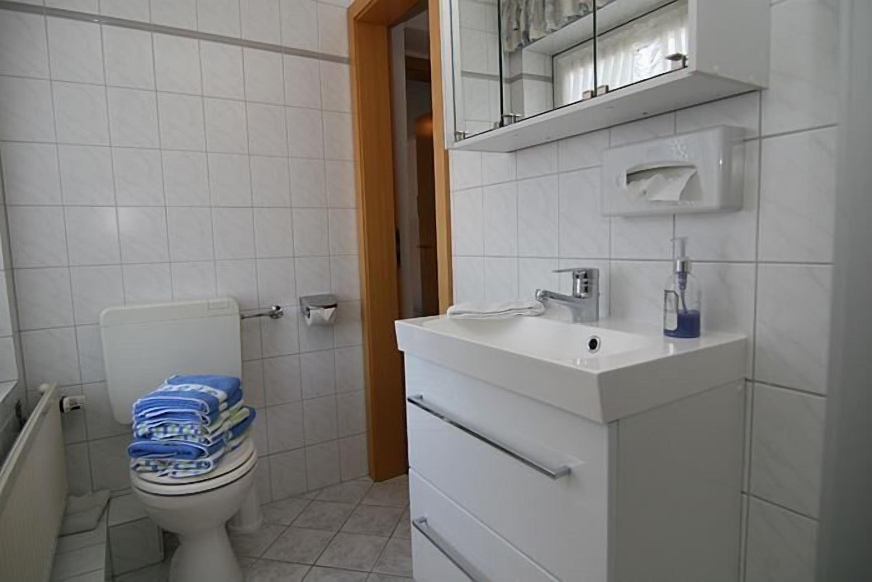 A bathroom with a toilet, a sink, and a mirror.