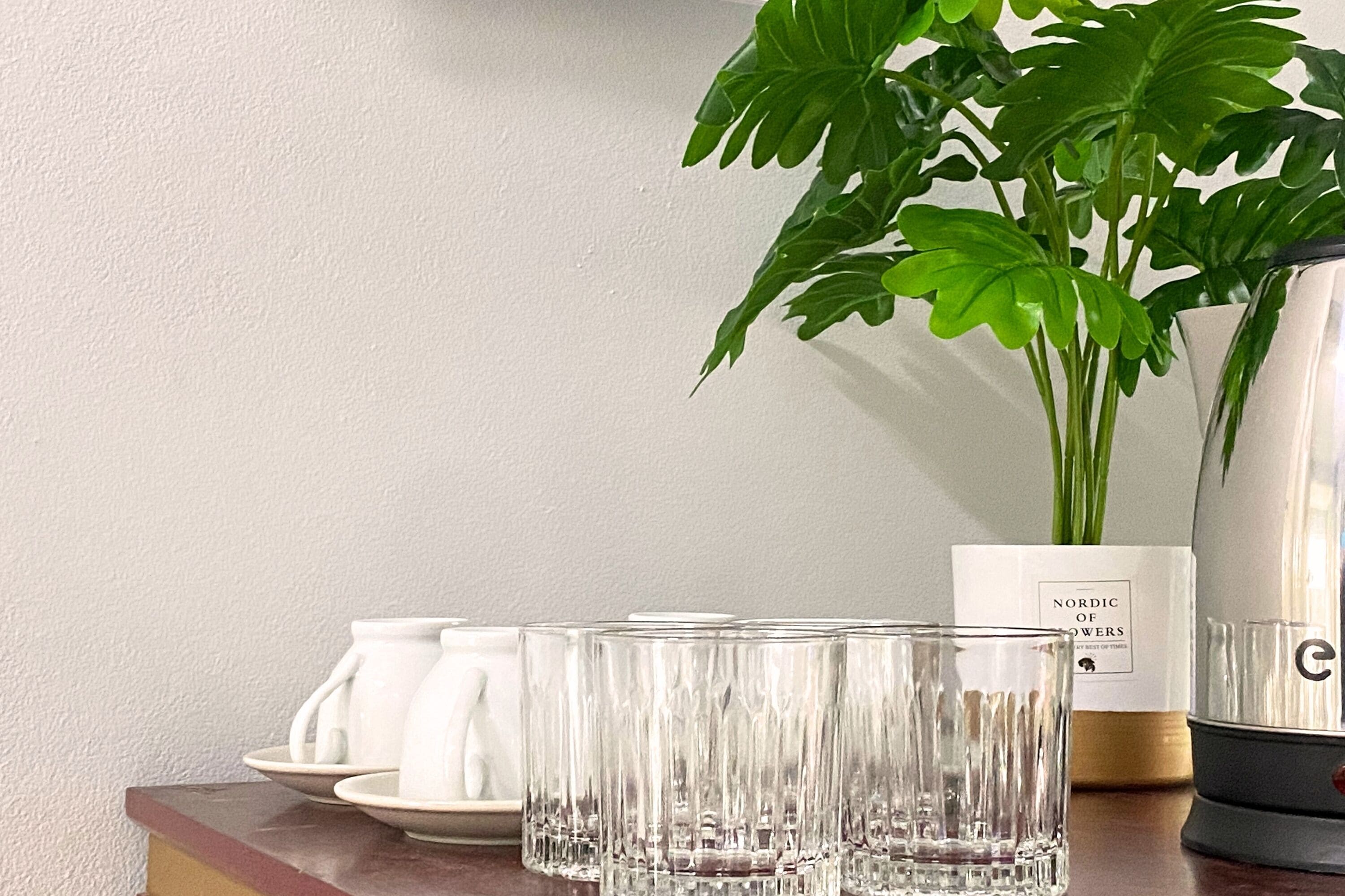 Una encimera de cocina con una cafetera, una planta en maceta y varios vasos de vidrio.