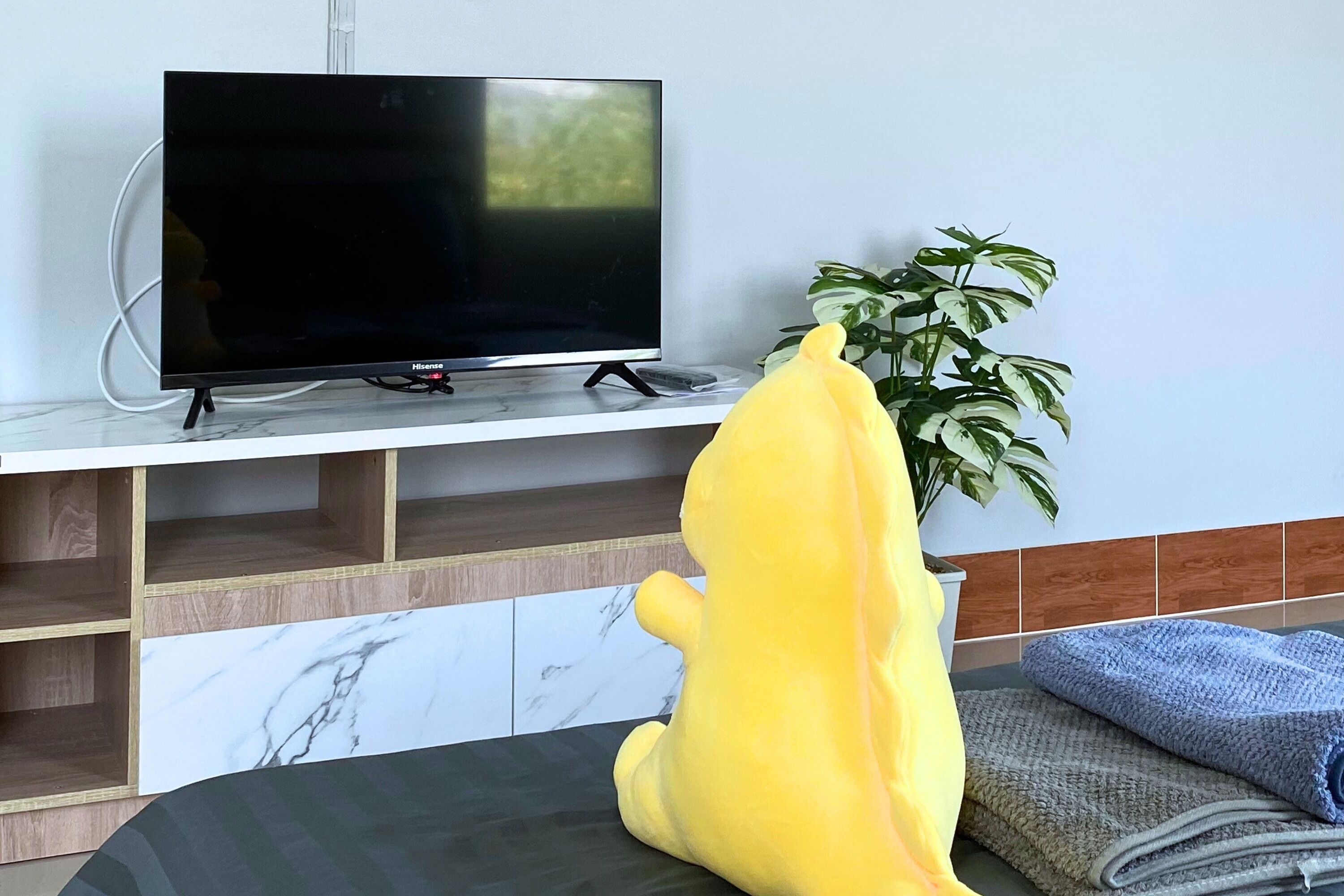 A television on a stand, a potted plant, and a yellow plush toy on a black surface.