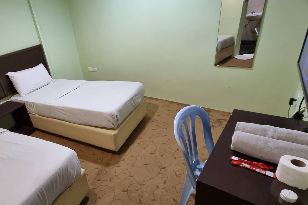 Deluxe Twin Room | Desk, iron/ironing board, WiFi (free), bed sheets