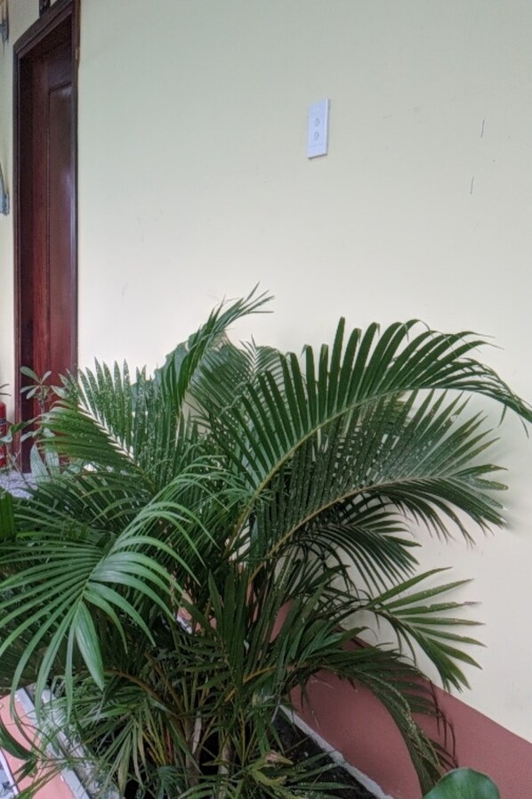 Double Room | Desk, iron/ironing board, free WiFi, bed sheets - Hoa Anh Dao Garden Hotel (Ho Chi Minh City)