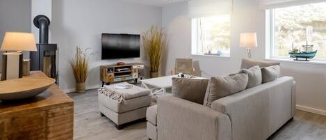 Télévision, cheminée, chaîne hi-fi