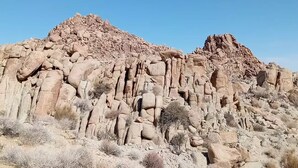 A rocky desert landscape with sparse vegetation.