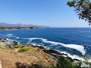 A coastal landscape with rocky terrain, vegetation, and a distant view of a town across the water.