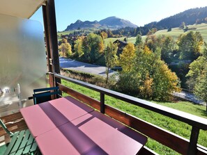 Property grounds - Cozy studio for 4 with balcony, peaceful and near slopes (Le Grand-Bornand)