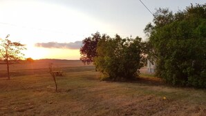 A rural landscape with a field, trees, and a building in the distance.