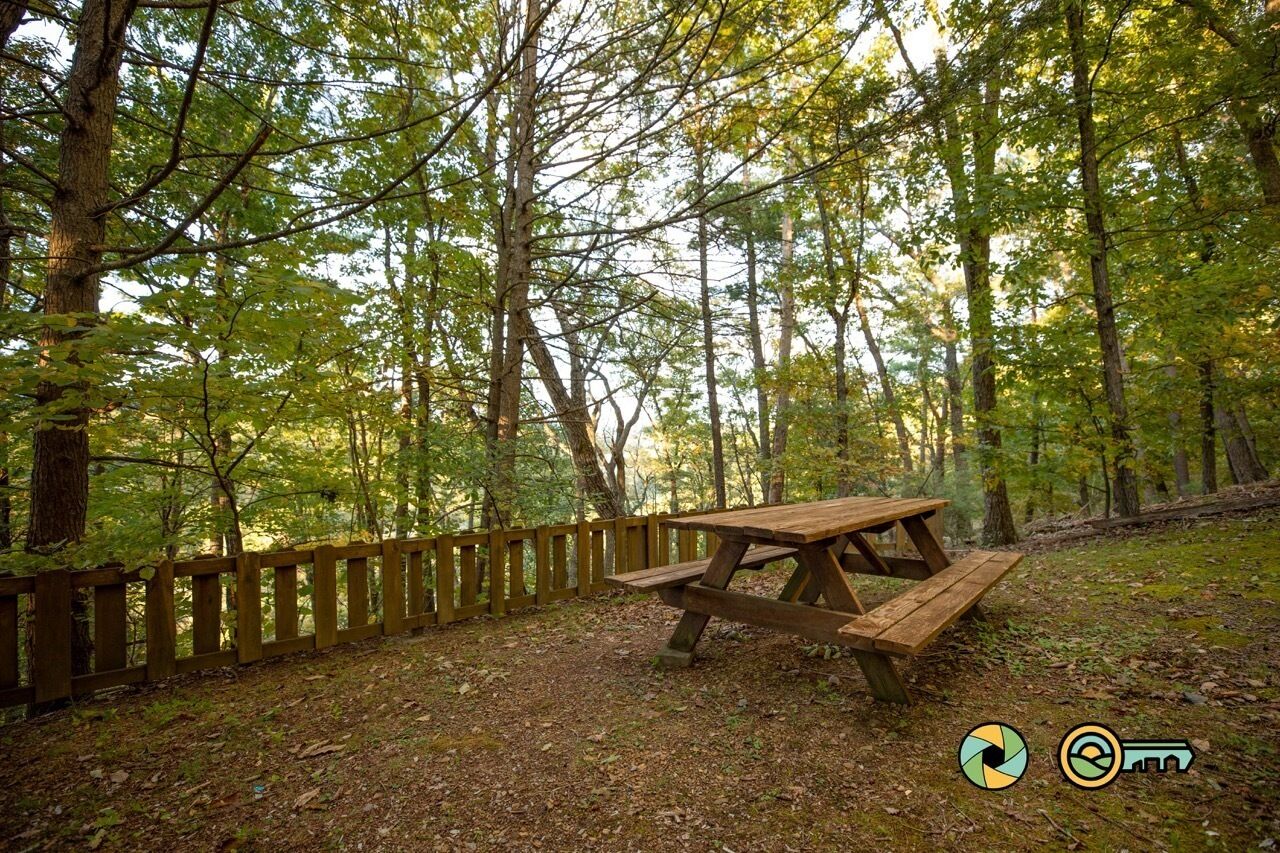 A picnic table in a forested area with a wooden fence.
